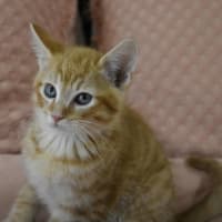 Photo of Kristoff