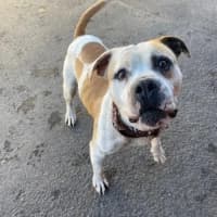 Photo of Buddy Xenos