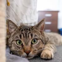 Photo of Oliver