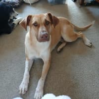 Photo of Missy 