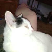 Photo of Lucky