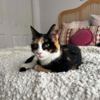 Photo of Katie