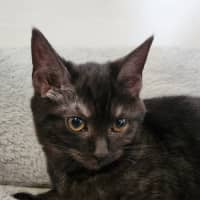 Photo of Ingrid