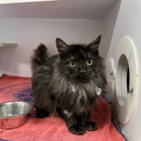 Photo of Munchkin