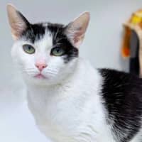Photo of Maggie