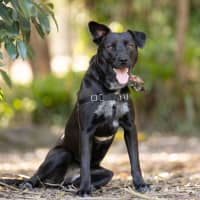 Photo of Mia