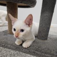 Photo of Nimbus