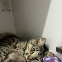 Photo of Frilly