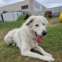 Photo of Lucy