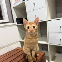 Photo of Louie