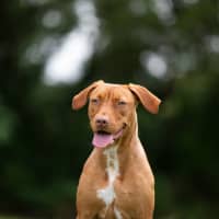 Photo of Sally
