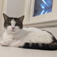 Photo of Mazzy