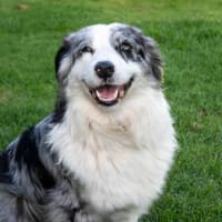 Photo of Lulu