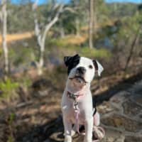Photo of Sassy 