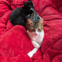 Photo of Honey & Rory 🥰