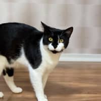 Photo of Elsie & Bee 