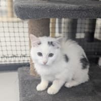 Photo of 🍨 Souffle 5807 🍨