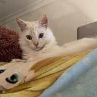 Photo of Mr Wimberley 