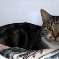 Photo of Marcy Sta014910