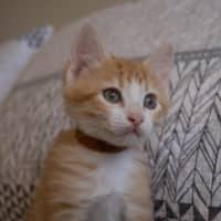 Photo of Kevin