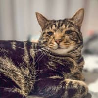 Photo of Buddy