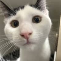 Photo of Wednesday