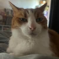 Photo of Charlie 