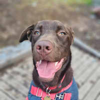 Photo of Bruce Banner