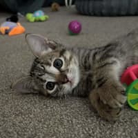 Photo of Claire