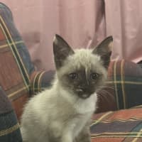 Photo of Riff