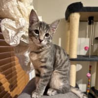 Photo of Freddie Aka Freaking Freddie