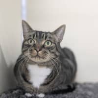 Photo of 🎮 Nippet 5903 🎮