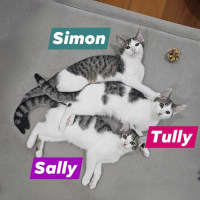 Photo of Sally