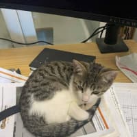 Photo of Vegemite (Located 50k North Of Melb Cbd)