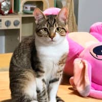 Photo of Mia