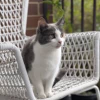 Photo of Mabel