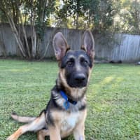 Photo of Grady