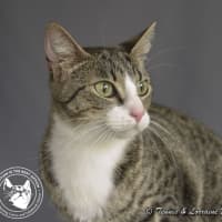 Photo of Dolly Parton