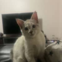 Photo of Rowena