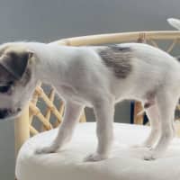 Photo of Marley Muddle