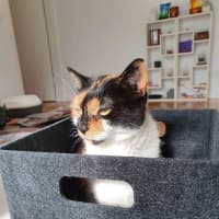 Photo of Queen Mimmi