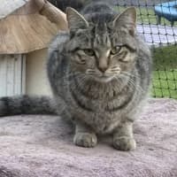 Photo of Honey