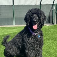 Photo of Scottie