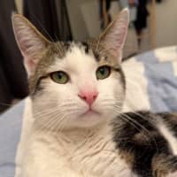 Photo of Bobby