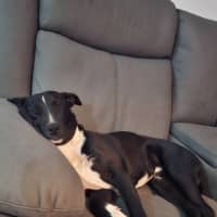 Photo of Buttons