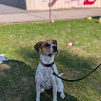 Photo of Marnie