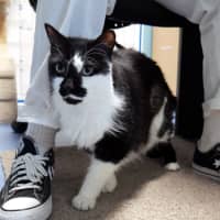 Photo of Charlie Sta013211