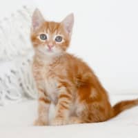 Photo of Milton