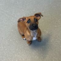 Photo of Mable