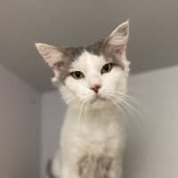 Photo of Steve
